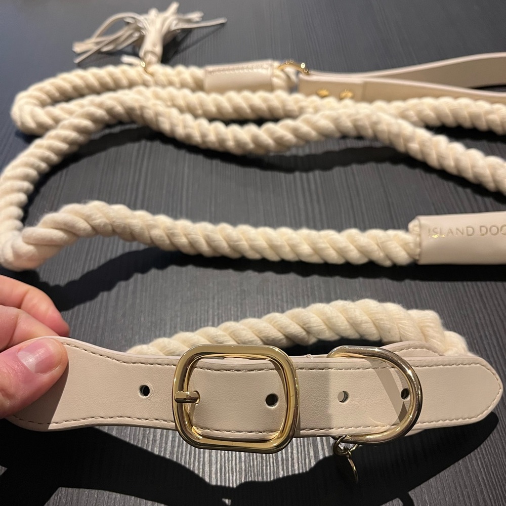Beautiful dog collar & leash, used ONCE